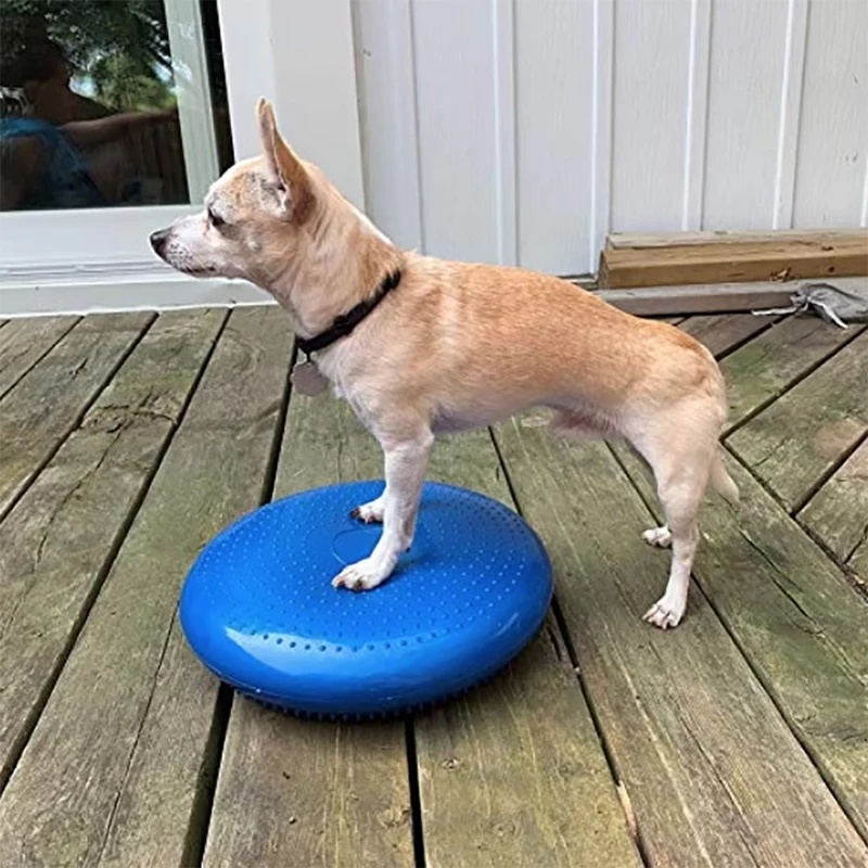 Balance Cushion Disc - แผ่นรองทรงกลมสำหรับสุนัข ใช้สำหรับการฟื้นฟูสมรรถภาพ ฝึกความแข็งแรง ความอดทน และการออกกำลังกาย เหมาะสำหรับศูนย์ฟื้นฟูสัตว์เลี้ยงและการฝึกความคล่องตัว