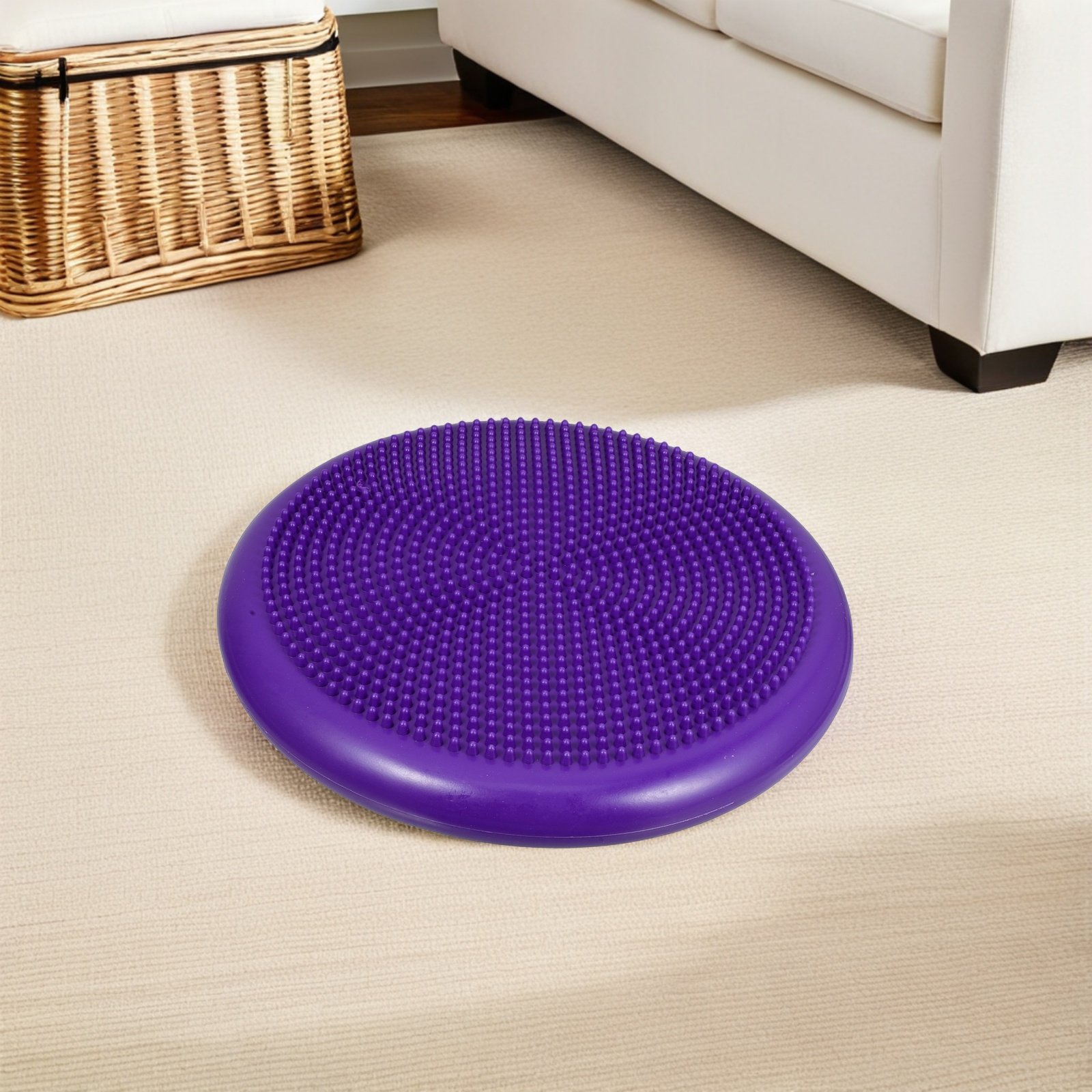 เบาะทรงกลมแบบเป่าลม ขนาด 13 นิ - Balance Cushion Disc บทวิจารณ์และราคา