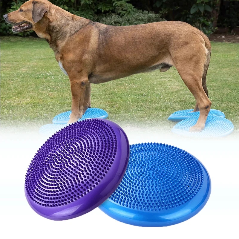 แผ่นรองทรงกลมสำหรับสุนัข ใช้สำ - Balance Cushion Disc บทวิจารณ์และราคา