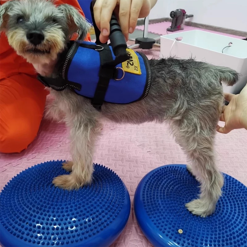 แผ่นรองทรงกลมสำหรับสุนัข ใช้สำ - Balance Cushion Disc บทวิจารณ์และราคา