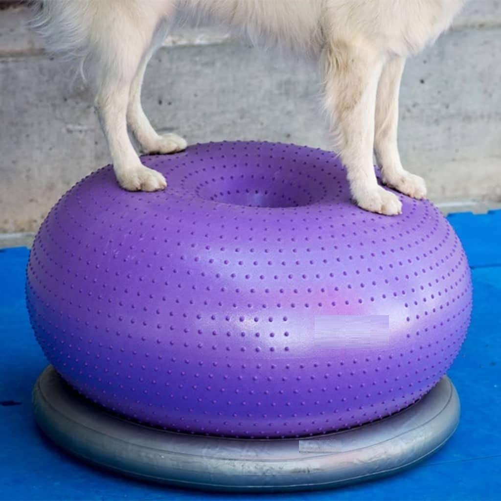 แผ่นรองฝึกสมดุลสำหรับสุนัข แพล - Balance Cushion Disc บทวิจารณ์และราคา