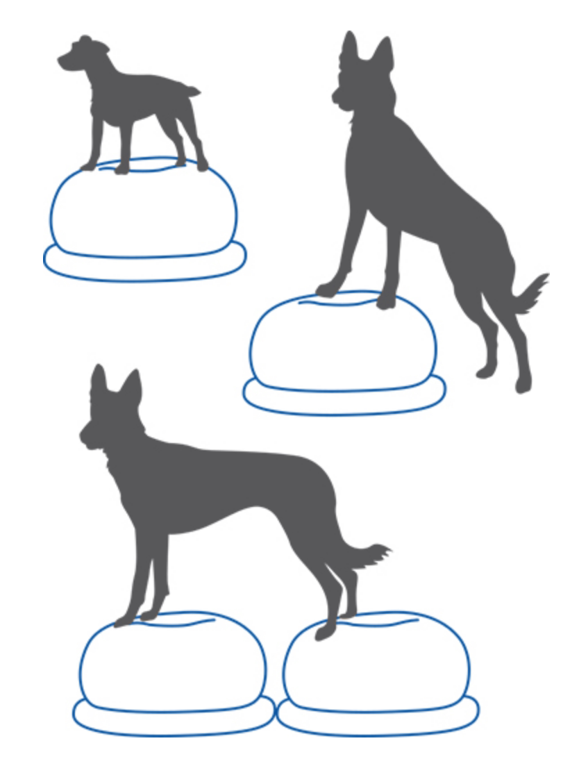 แผ่นรองฝึกสมดุลสำหรับสุนัข แพล - Balance Cushion Disc บทวิจารณ์และราคา